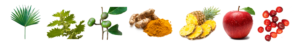 sostanze fitoterapiche